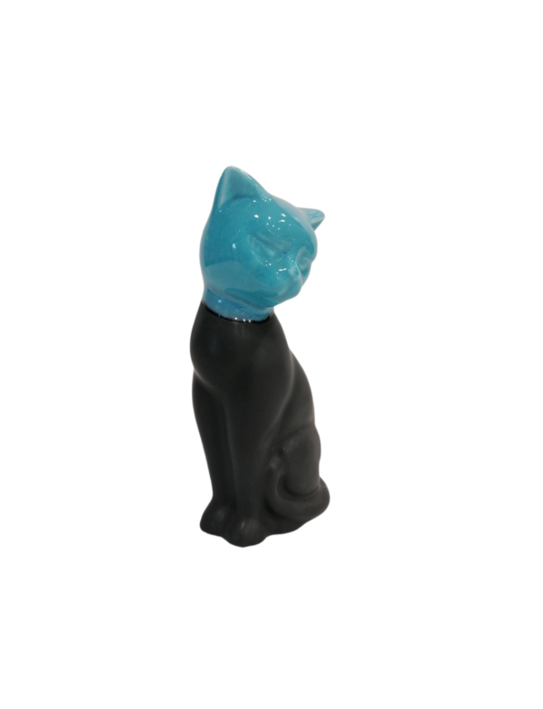 Γάτα μαύρο-μπλε2