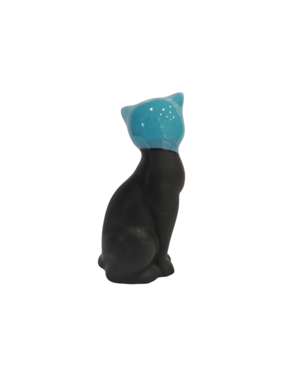 Γάτα μαύρο-μπλε4