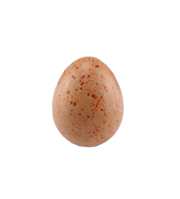Salmon egg