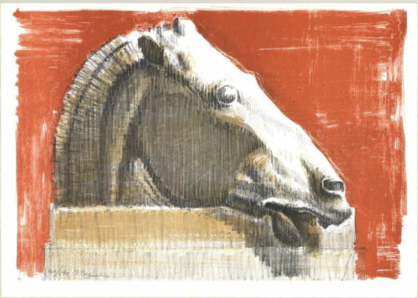 Horse head-Paris Prekas