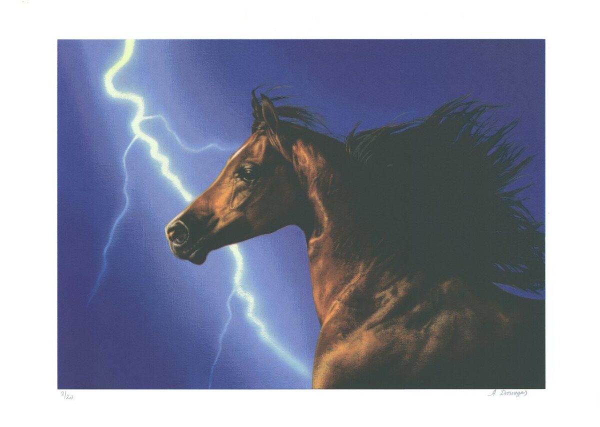 “Άλογο”-Αχιλλέας Δρούνγκας