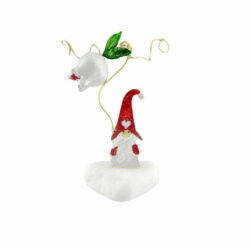 Dwarf with white pomegranate