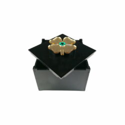 “Κουτί τετράφυλλο τριφύλλι” από Plexiglass