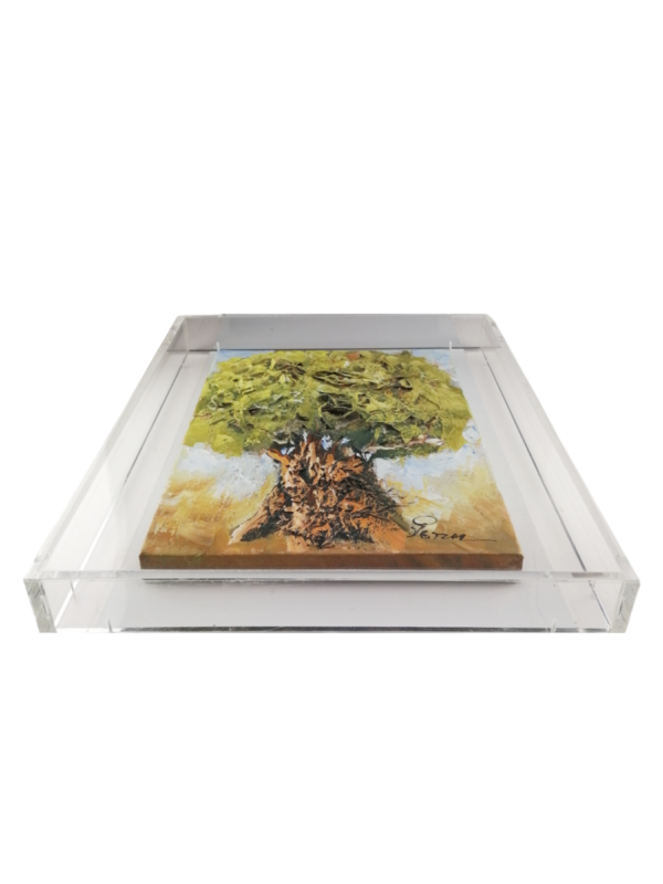 Ελιά σε plexiglass-Ρέντης Ρεντζάς3