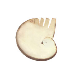 “Small ceramic plate in the shape of a dove”-Sofia Kalligeri