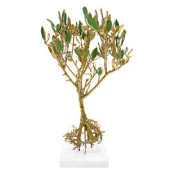 Δέντρο ελιάς με ρίζα και πατίνα