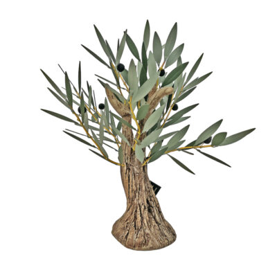 Branched olive tree