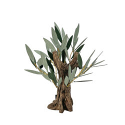 Μικρή αγριελιά