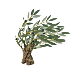 Ανεμοδαρμένη ελιά