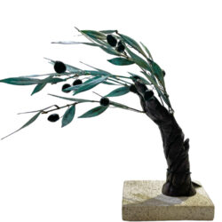 Δέντρο ελιάς με βοριά