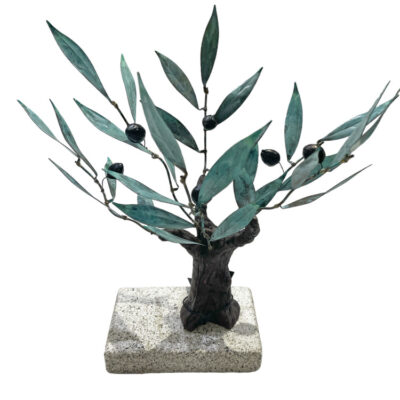 Olive tree Amaryllis with patina