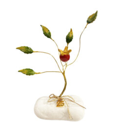 Ροδιά μικρή στον άνεμο