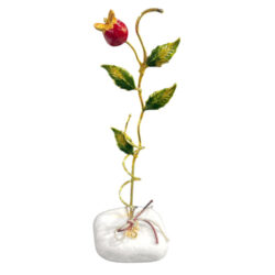 Ροδιά με κλαδιά σπιράλ 18 εκ.