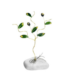 Ελιά με τρία κλαδιά και δύο καρπούς 17 εκ.