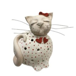 Γάτα λευκή - κόκκινη πουα φαναράκι