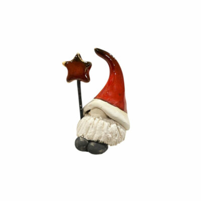 ”Αϊ – Βασίλης με αστέρι”