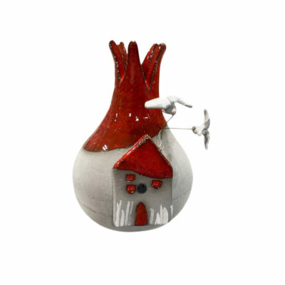 ”Ρόδι με σπίτι και γλάρους”